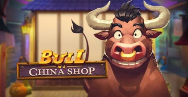 Bull In A China Shop