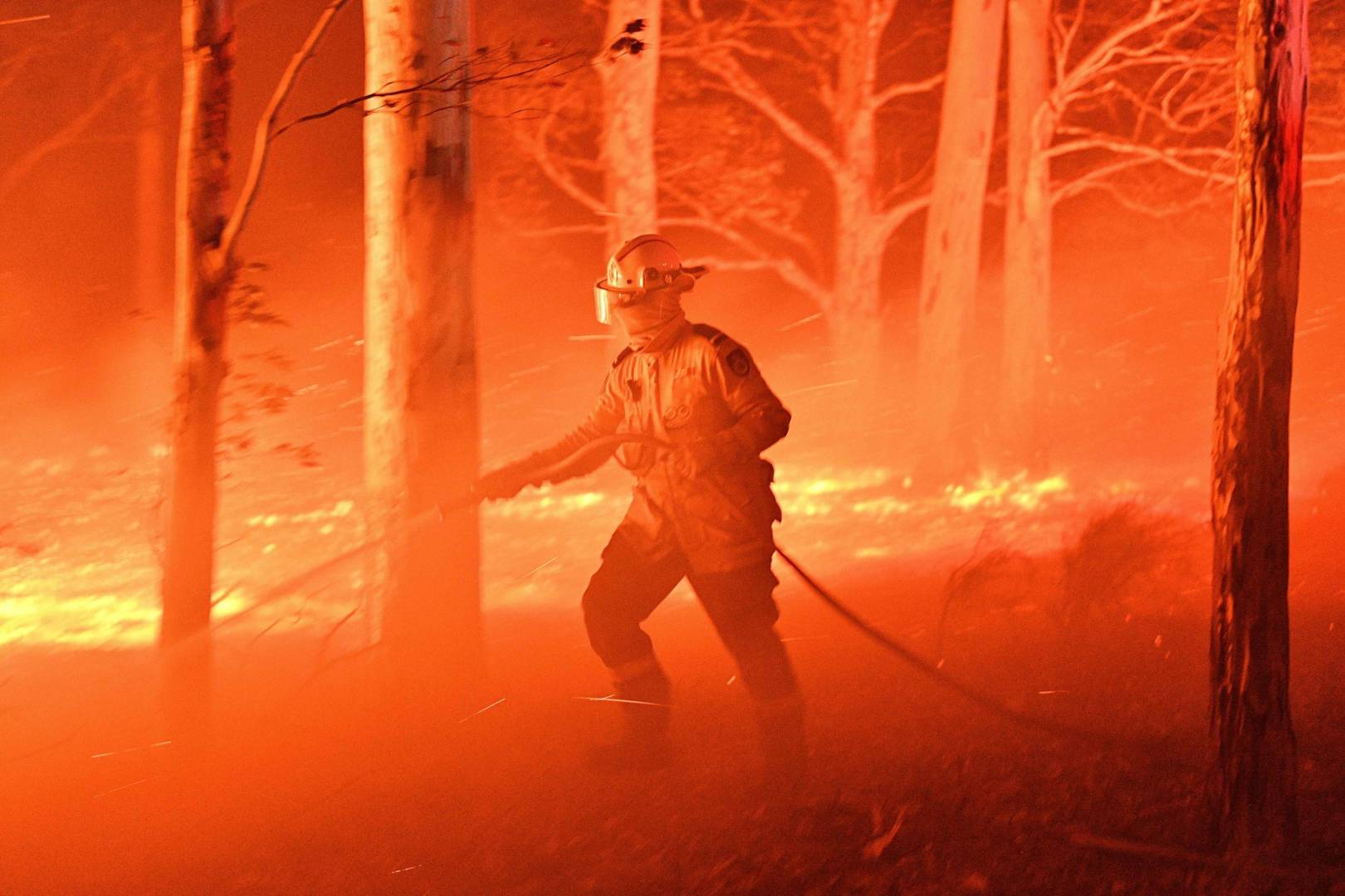 Kiwi casino gamers step up to help out with wildfire crisis in Australia